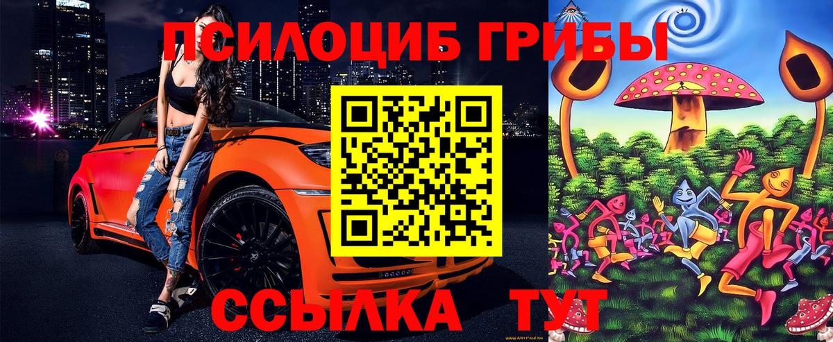Дальнереченск  Псилоцибиновые грибы Psilocybe  Галлюциногенные грибы мухоморы  Вход с VPN 
